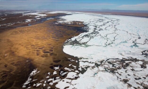 Washington and other Democratic-led states drop lawsuit against Arctic Refuge oil drilling in Alaska