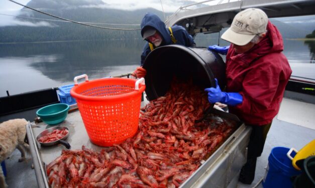 ‘A way of life’: Southeast residents weigh in on federal subsistence review