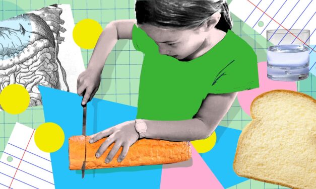 Is that carb ultra-processed? Here’s a test even a kid can do