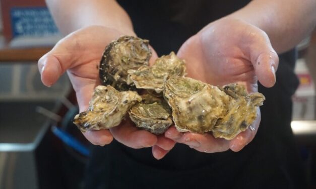 Warming conditions in Alaska waters present a new food-safety challenge