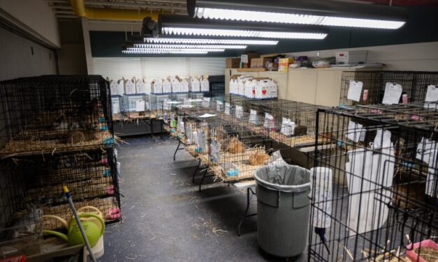 Alaska News Nightly: Thursday, March 5, 2026