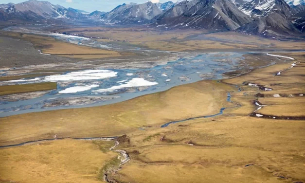 A new oil lease sale for the Arctic refuge draws mixed reactions from Alaska Native communities