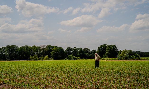 The rising cost of fertilizer and fuel prices is pushing some farmers to the brink