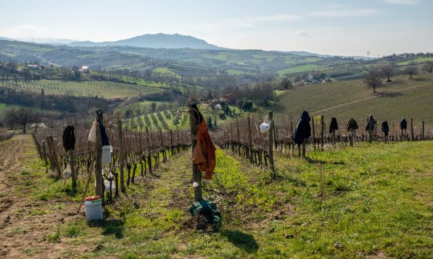 RFK Jr. wants to treat addiction by creating wellness farms. Does it work?