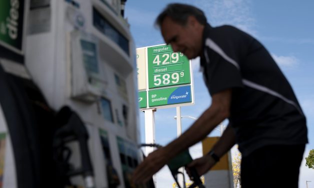 Drive slower, go electric, don’t drive at all? Americans weigh options for saving gas