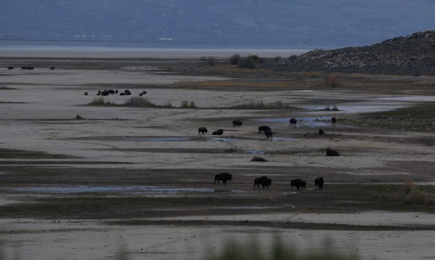 Why Trump wants to spend $1 billion on Great Salt Lake