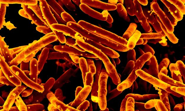 Long a dream, it’s now real: a fast and accurate TB test that doesn’t need phlegm