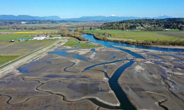 Why this tribe is buying up hundreds of acres of farmland — and flooding it