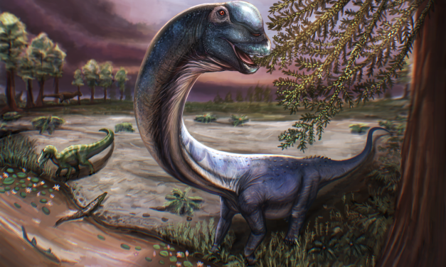 Researchers unearth Southeast Asia’s largest dinosaur