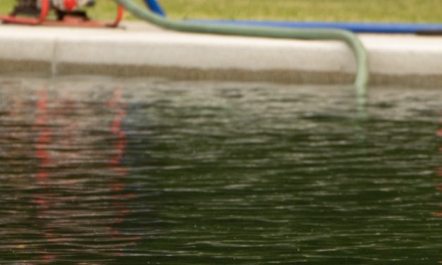 Opinion: Algae doesn’t care about our party lines