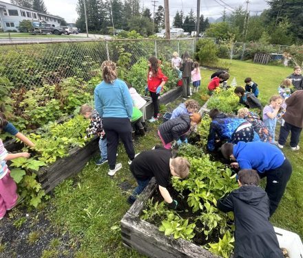 Elementary School Garden Needs Summer Volunteers