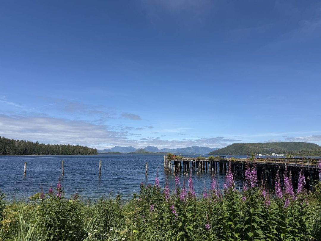 Parts of Southeast Alaska under heat advisories this week