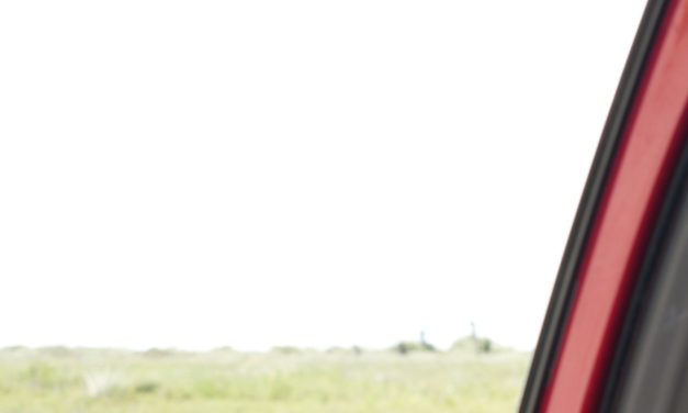 Elon Musk’s Starbase wants to expand in south Texas