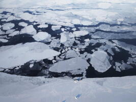 A reporter takes a deep dive on Trump-appointed chair of U.S. Arctic Research Commission