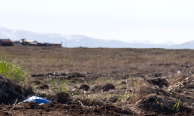 An Alaska storm scattered artifacts. Archaeologists are racing to save what’s left
