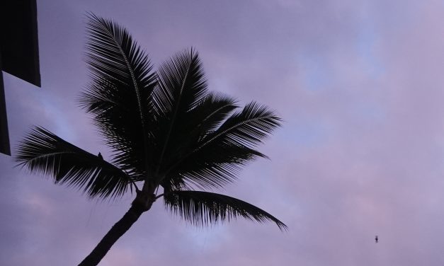 The Pacific is churning with hurricanes. The Atlantic is quiet. Blame El Niño