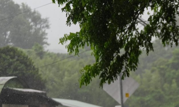 Mexico’s Baja California braces for Hurricane Polo as Hurricane Nolo threatens Hawaii