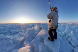 Indigenous observations improve computer modeling of changes in the Arctic, UAF study says