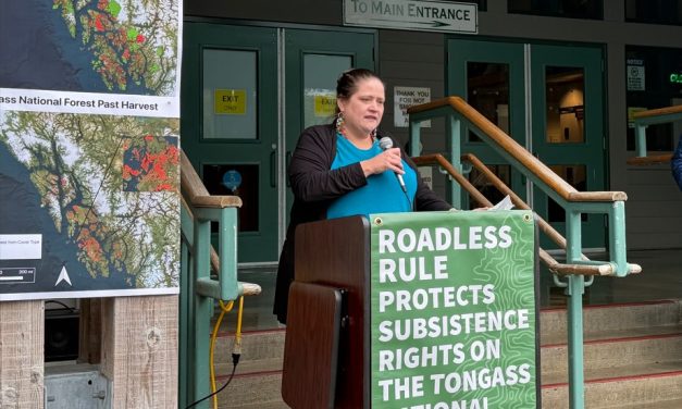 ‘This is the most terrible idea there is’: tribal leaders express concerns about proposed repeal of Roadless Rule